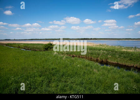 Siehe (Rietzer See Rietz) ist ein Naturschutzgebiet in der Nähe der Stadt Brandenburg im Nordosten Deutschlands mit zwei flachen Seen und Feuchtgebieten, die Hav Stockfoto