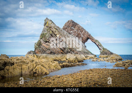 Bogen Geige Rock, natürlichen Meer arch in der Nähe von portknockie Auf der nord-östlichen Küste von Schottland. Stockfoto