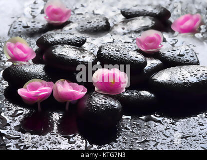 Blumen und nassen schwarzen Steinen. Spa-Konzept. Stockfoto