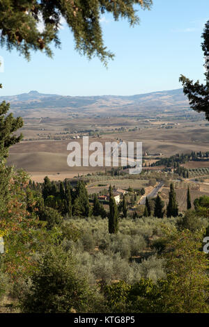 Die Hügel von Pienza und Monticchiello Stockfoto