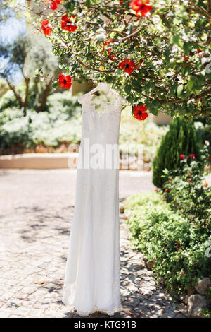 Schöne Hochzeit Kleid hängen am Baum im Sommer Garten, morgen Vorbereitung, roten Blüten. Stockfoto