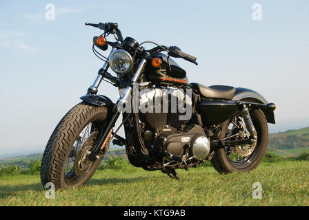 Harley Davidson 48 Sportster in der Landschaft Stockfoto