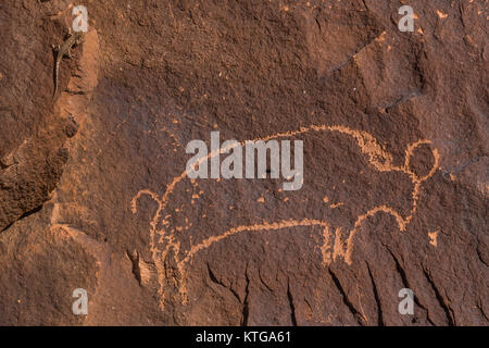 Bison petroglyph am Newspaper Rock in Indian Creek National Monument, früher Teil der Bären Ohren National Monument, im südlichen Utah, USA Stockfoto