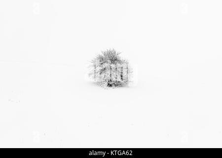 Einsamer Baum im Schnee Abstract Stockfoto