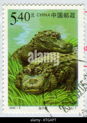 GOMEL, BELARUS, 27. Oktober 2017, Stempel gedruckt in China zeigt ein Bild der Alligator sinensis, circa 2000. Stockfoto