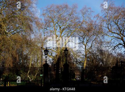 Albert Gate, Eingang zum Hyde Park mit leafless London Plane Tree Skelette, London, Großbritannien. Dezember 2017. Stockfoto