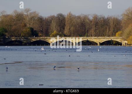 Die Serpentine Brücke, lange Wasser, Hyde Park im goldenen Licht des Nachmittags. London, Großbritannien. Dezember 2017. Stockfoto