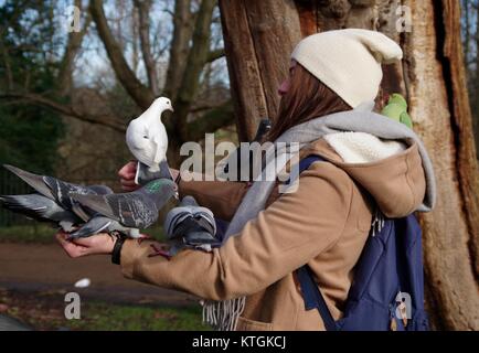 Junge Frau, die als menschliche Barsch für verwilderte Tauben (Columba livia) und grüne Papageien (Psittacula krameri) in Kensington Gardens, London, UK. 2017 Stockfoto