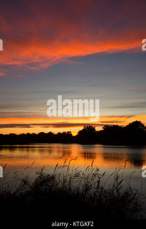 Lake Josephine Sonnenuntergang, Riverfront Park, Billings, Montana Stockfoto