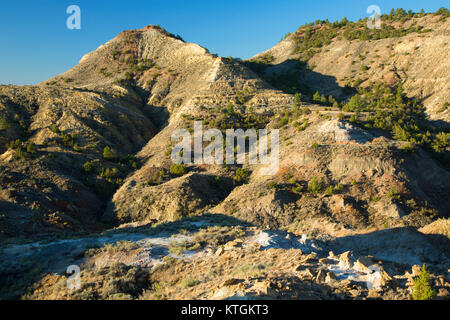 Terry Terry Badlands, Badlands Wildnis Studie, Montana Stockfoto