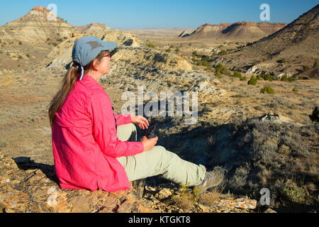 Terry Terry Badlands, Badlands Wildnis Studie, Montana Stockfoto