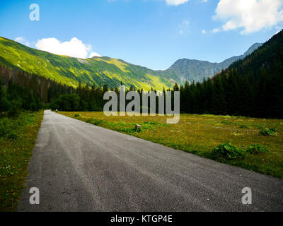 Schotterstraße führt durch schöne grüne Tal mit Bäumen und Bergen im Hintergrund zusammen mit blauen Himmel, Slowakei, Europa Stockfoto