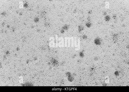 Textur von einem Schwamm für Abwasch und Nassreinigung, close-up ein Schwarzweiß-Foto Stockfoto