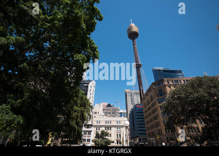 Sydney tower Stockfoto