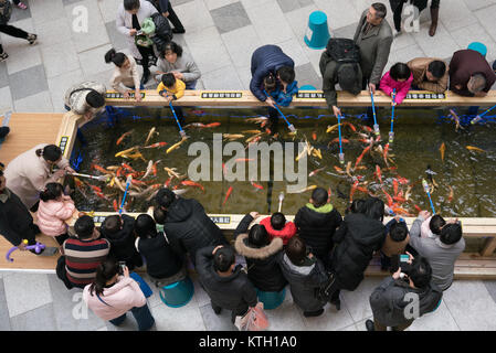 Wuhan Hubei China, 24. Dezember 2017: Menschen Fütterung amur Koi Karpfen in einem Teich mit Fischen essen in einem Einkaufszentrum in Wuhan China Stockfoto