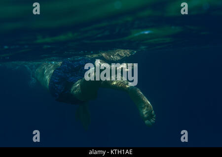 Touristische Mann im Schwimmen Sport Schwimmen unter Wasser in das Ägäische Meer an der Küste der Halbinsel Sithonia Stockfoto