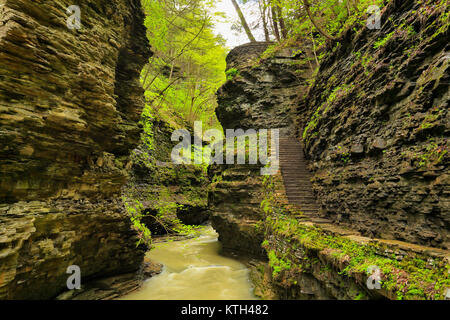 Gorge Trail, Watkins Glen State Park, Watkins Glen, New York, USA Stockfoto