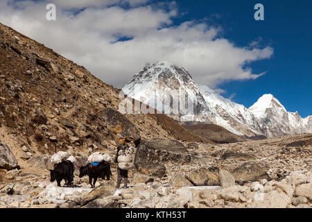 Blick vom Berg in der Nähe von Lobuche, Lhotse, Nuptse - Nepal, Himalaya Stockfoto