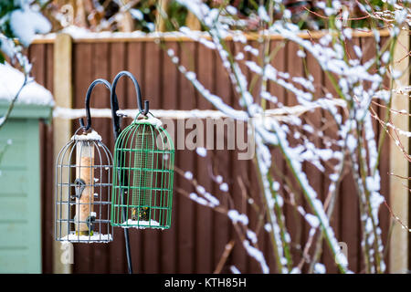 Zwei Futterhäuschen im Garten im Winter hängen. Stockfoto