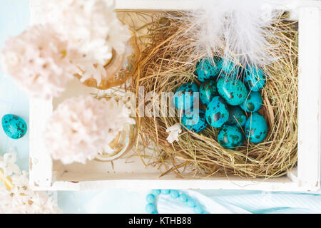 Malte Ostern blue Wachtel Eier in einem Nest und Blumen in einem weißen Holzkiste. Platz für Text. Festliche licht Ostern Dekoration. Ostern Festival Konzept. Stockfoto