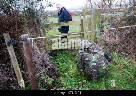 Zwei Wanderer versuchen, hinter einem elektrischen Zaun vor einem öffentlichen Fußweg und Stil in Felder in der Landschaft im Winter zu erhalten Stockfoto