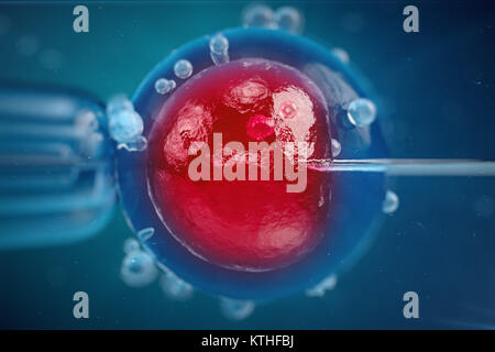 3D-Abbildung In-vitro-Fertilisation, Injektion von Spermien in die Eizelle, Behandlung der assistierten Reproduktion. Stockfoto