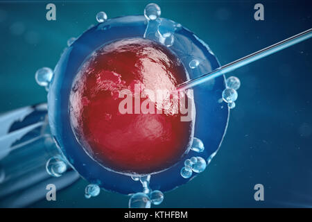 3D-Abbildung In-vitro-Fertilisation, Injektion von Spermien in die Eizelle, Behandlung der assistierten Reproduktion. Stockfoto