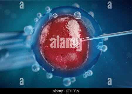 3D-Abbildung In-vitro-Fertilisation, Injektion von Spermien in die Eizelle, Behandlung der assistierten Reproduktion. Stockfoto