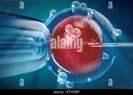 3D-Abbildung In-vitro-Fertilisation, Injektion von Spermien in die Eizelle, Behandlung der assistierten Reproduktion. Stockfoto