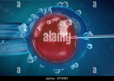 3D-Abbildung In-vitro-Fertilisation, Injektion von Spermien in die Eizelle, Behandlung der assistierten Reproduktion. Stockfoto