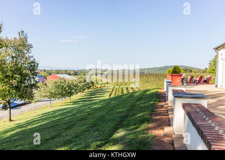 Barboursville, USA - 20. Oktober 2017: Weinberge in Virginia mit Menschen entspannend durch die malerischen Blick auf Weingut Traube Zeilen Stockfoto