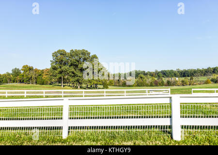 Nahaufnahme des weißen Zaun für Pferde auf Landgut in Virginia Landschaft Stockfoto