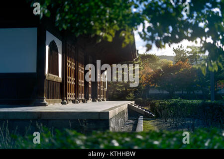 Kennin-ji, Kenninji, Zen-buddhistischen Tempel Hatto Haupthalle beleuchtet durch die Morgensonne. Gion Distrikt, Bezirk Komatsucho, Kyoto, Kyoto, Japan 2017. Stockfoto