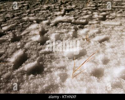 Fußabdrücke auf eine verschneite Wiese. Das schwache Licht des Scheinwerfers macht lange Schatten. Gefrorene Halme von Gras bedeckt mit Frost. Dunkle kühle Nacht. Stockfoto