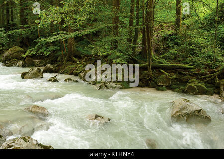 Ramsauer ache mountain river stream im Sommer, Steine und Baumwurzeln bedeckt mit Moos Stockfoto