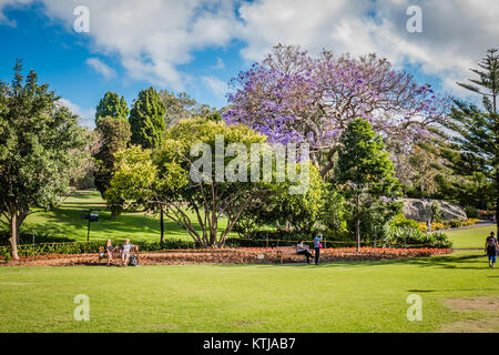 Pflanzen und Blumen an der Sydney Royal Botanic Garden Stockfoto