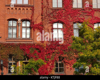 Das ILO-Gebäude in Genf, Schweiz, ist Sitz der Internationalen Arbeitsorganisation. Das Gebäude ist bekannt für seine moderne Architektur und dient als Zentrum für globale Arbeitsfragen und Diskussionen. Stockfoto