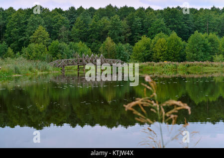 Der Fluss fließt unter die Dickichte, Holzbrücke Stockfoto