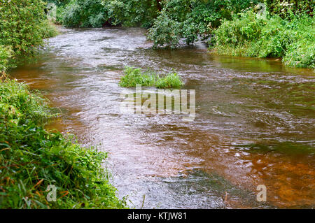 Der Fluss fließt unter die Dickichte, Big River Stockfoto