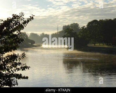 Dieses Bild zeigt die nebelige Landschaft von BDG Brda am 2. Oktober 2015. Das Foto bietet einen ruhigen und stimmungsvollen Blick auf die Region und betont die natürliche Schönheit und die einzigartigen Wetterbedingungen. Stockfoto
