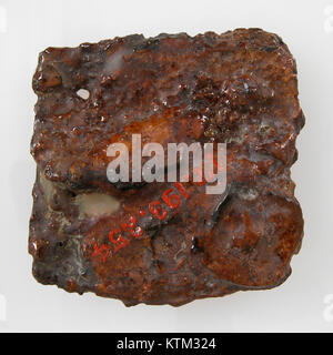 Diese Rückwand einer Gürtelschnalle, die Teil der Sammlung des Metropolitan Museum of Art ist, stammt aus den frühen Jahrhunderten und veranschaulicht die historische Handwerkskunst in der Metallverarbeitung. Stockfoto