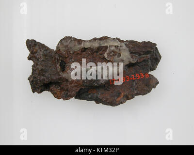 Abbildung einer Gürtelschnalle aus der Sammlung des Metropolitan Museum of Art, identifiziert als sf17 193 293bs. Dieses Artefakt repräsentiert historische oder kulturelle Handwerkskunst und spiegelt das Design und die Funktionalität von historischen Accessoires wider. Stockfoto