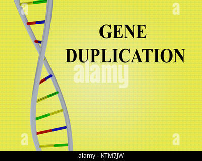 3D-Darstellung der GENDUPLIKATION script mit DNA-Doppelhelix, auf gelben Hintergrund. Stockfoto