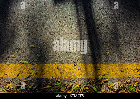 Gelbe Linie. Gelbe Linie, Laub und Schatten. Stockfoto