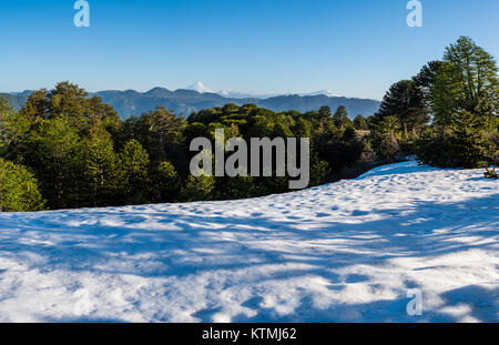 Pampas del Quinchol, Huerquehue Nationalpark in den Ausläufern der Anden, Valdivian gemäßigten Regenwald, Araucania region, Chile, Patagonien. Stockfoto