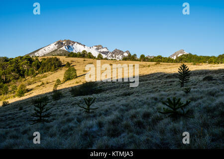 Pampas del Quinchol, Huerquehue Nationalpark in den Ausläufern der Anden, Valdivian gemäßigten Regenwald, Araucania region, Chile, Patagonien. Stockfoto