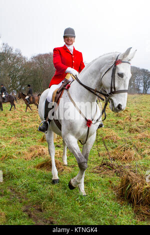 Rivington Scheune, Lancashire, UK. 26 Dez, 2017. Die rivington Boxing Day Hunt, Chorley, Lancashire. 26. Dezember 2017. Tausende von Menschen nehmen an der traditionellen Boxing Day Hunt treffen auf Rivington Scheune in Lancashire. Jagd mit Hunden wurde vor acht Jahren verboten, aber viele rechtlichen "jagt" weiter fortgesetzt werden. Pferde und Reiter folgen duftenden Spuren auf eine Anzeige von Pomp und nach Weihnachten. Die Masters of Foxhounds Association haben mehr als 200 über das Land angegeben sind, einschließlich des jährlichen Boxing Day Hunt im Horwich, in der Nähe von Bolton. Credit: cernan Elias/Alamy leben Nachrichten Stockfoto