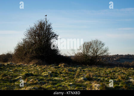 Greater London, UK. 28 Dez, 2017. UK Wetter. Eiskalt und klare Start in den Winter Tag in Farthing Downs, im Süden Londoner Stadtteil Croydon, nahe der nördlichen Spitze der North Downs. Die Temperaturen sind gesunken und Teile des Landes sind mit Schnee bedeckt, wodurch eisigen Fahrbedingungen und weit verbreiteten Verkehr Verzögerungen im gesamten Vereinigten Königreich. Credit: Francesca Moore/Alamy leben Nachrichten Stockfoto