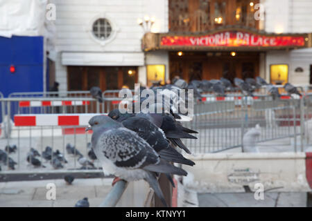 London, Großbritannien. 28 Dez, 2017. Eine Reihe von Tauben sitzen auf einem Hindernis außerhalb der Victoria Palace Theatre in London Quelle: Keith Larby/Alamy leben Nachrichten Stockfoto