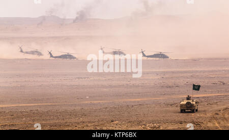 Us-Armee Soldaten vom 1. Battalion, 67th Panzer Regiment, 2nd Brigade Combat Team, 4 Infanterie Division, und Royal Saudi Land Kräfte (RSLF) Soldaten Offload von UH-60 Black Hawks von der Firma A, 3 Bataillon geflogen, allgemeine Unterstützung 238th Aviation Battalion, 42th Combat Aviation Brigade (CAB) und das RSLF 1 Bataillon, 3 Aviation Group, für einen Luftangriff während der Höhepunkt der Übung Freundschaft und Bügeleisen Hawk 14 am April 13th, 2014, in der Nähe von Tabuk, Saudi-Arabien. Bügeleisen Hawk und Freundschaft 14 beteiligten US-Streitkräfte vom 42. CAB, New York Army National Guard, und 2. Brigade C Stockfoto